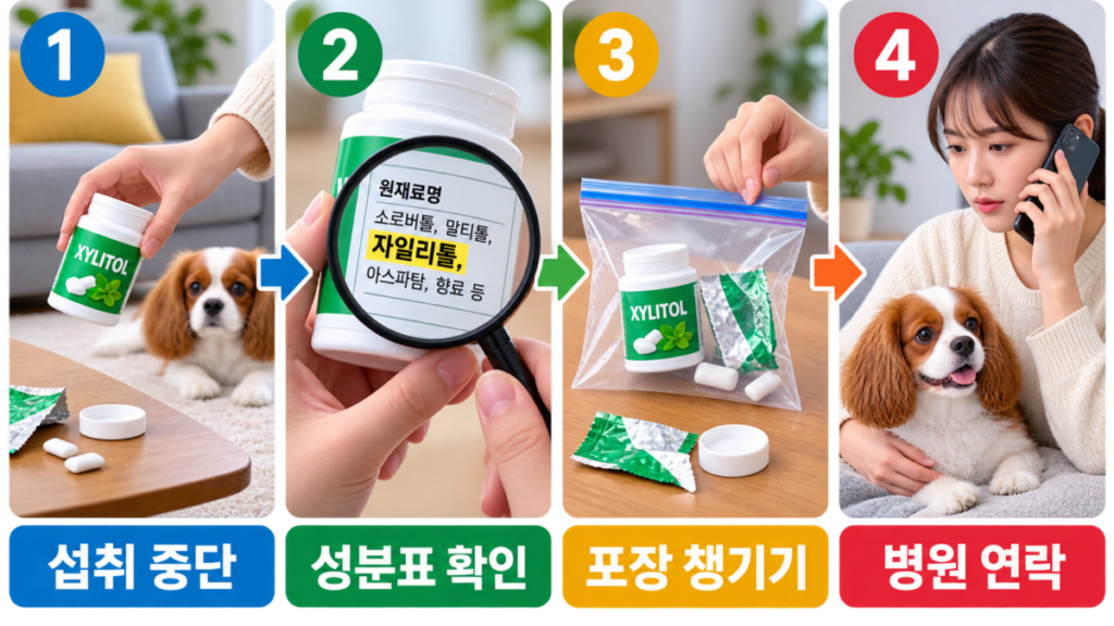 본문 이미지 2