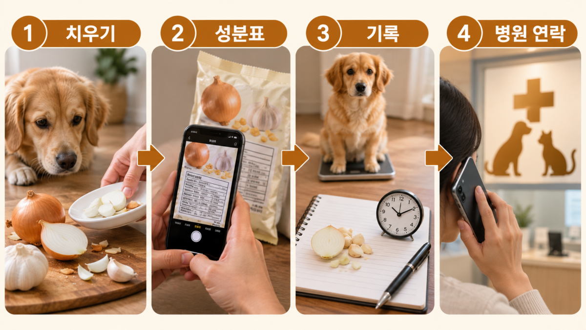 본문 이미지 2