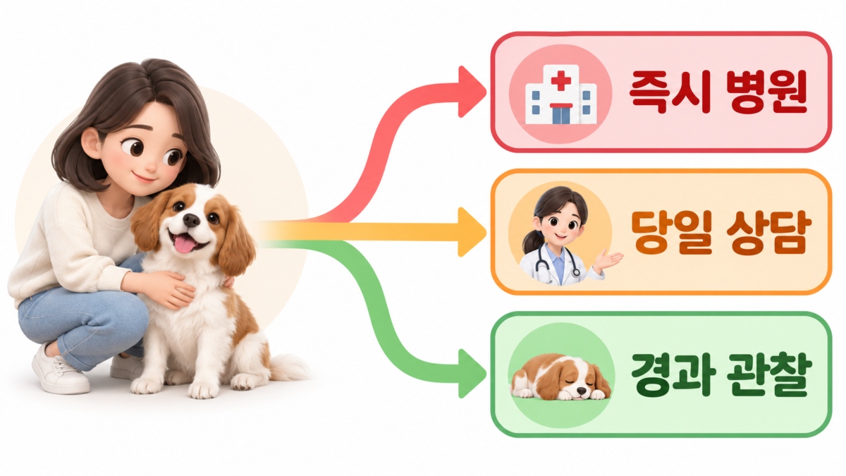 구토 후 행동 결정
