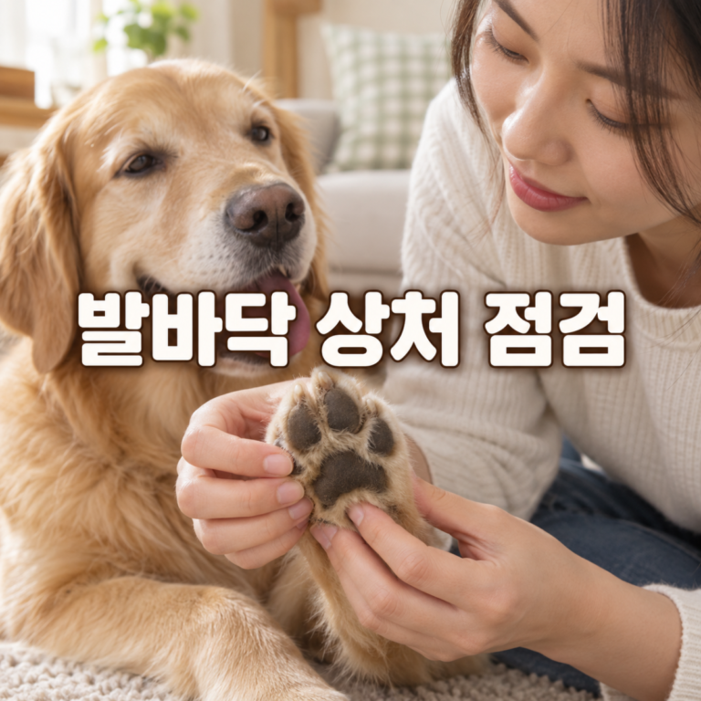 강아지 발바닥 벗겨졌을 때, 압박·세척·병원 판단 순서