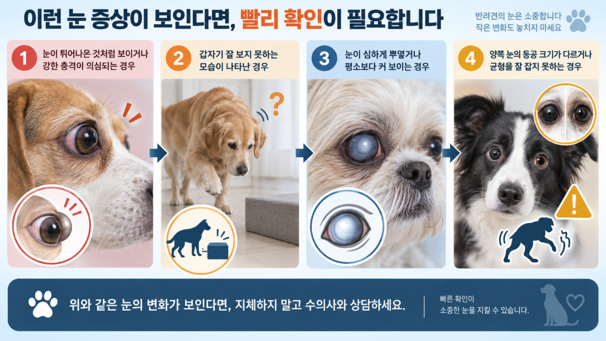 본문 이미지 2